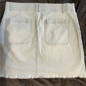 Democracy blue and white pinstriped